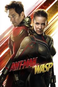 ant man and the wasp torrent