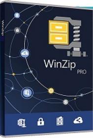 upgrade from winzip 23 to winzip 24